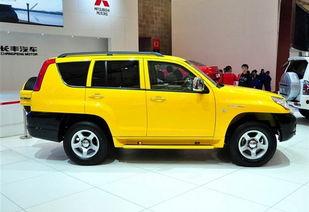 猎豹资料详细,速度与力量的传奇猎食者