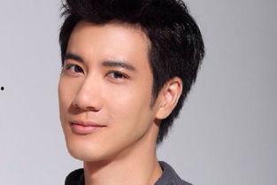 王力宏简历个人资料