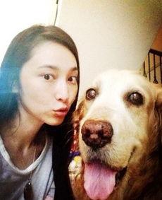 明星爱狗,温馨互动背后的感人故事