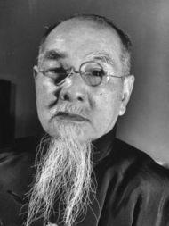 林森资料,传奇人生与时代印记的交织