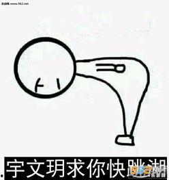 跳河表情包,网络时代的幽默新宠